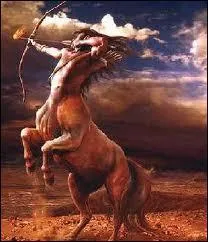 Quelle est cette bte ?