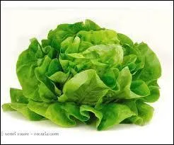 Quel est ce lgume ?