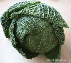Quel est ce lgume ?