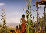 Quiz Histoire de l'agriculture au Qubec n 1