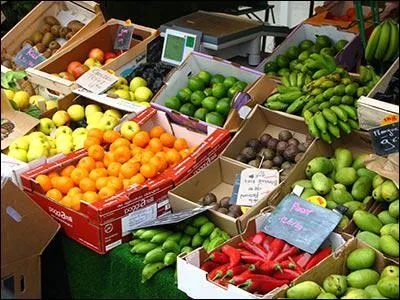 En quelle anne est cr le Mouvement pour une agriculture biologique ?