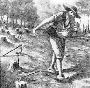 Qui est considr comme le premier cultivateur de la Nouvelle-France ?