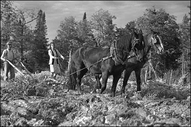Jusqu' la Seconde Guerre mondiale quel type d'agriculture domine au Qubec ?