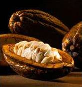 Quiz Chocolat