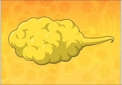 De qui Sangoku a-t-il reu ce nuage magique ?