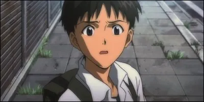 Quel est le nom du héros de l'anime "Neon Genesis Evangelion" ?