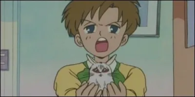 Qui est le petit frère d'Usagi (Bunny dans la version française), la jeune héroïne de "Sailor Moon" ?