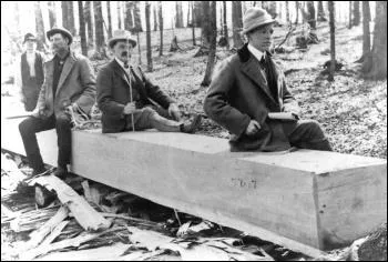 A quoi sert ce bois, notamment au XIXe sicle ?