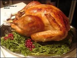 D'o la dinde est-elle originaire ?