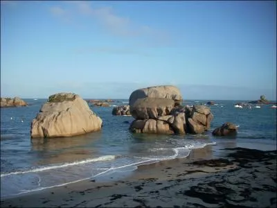 Trgastel, station balnaire est dote d'un aquarium marin. Sur quelle cte est-elle situe ?