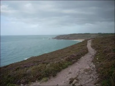 Cmment appelle-t-on cette vgtation ?