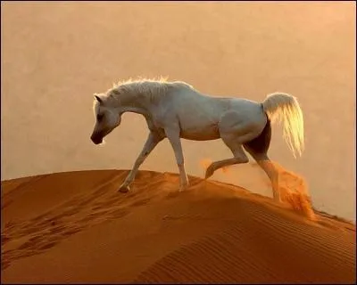 Combien pse cet quid ?