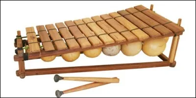 Quel instrument de musique africain ressemble à un xylophone ?