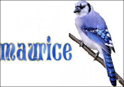 ''Maurice''