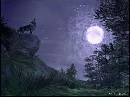 Obscurit fantastique ... .