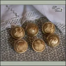 Ils ne sont pas noirs ... .