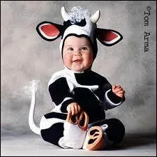 Quel est ce bb z'animal ?