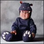 Quel est ce bb z'animal ?