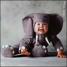 Quel est ce bb z'animal ?