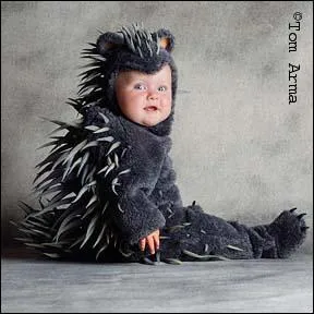 Quel est ce bb z'animal ?