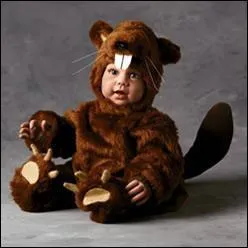 Quel est ce bb z'animal ?