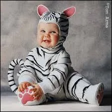 Quel est ce bb z'animal ?