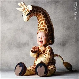 Quel est ce bb z'animal ?