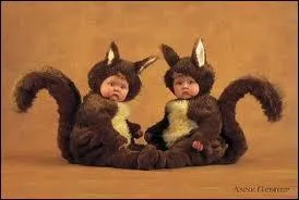 Quel est ce bb z'animal ?