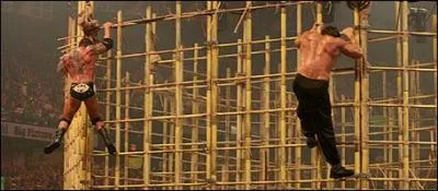La cage d'un Punjabi Prison Match a plusieurs particularits. Laquelle est fausse ici ?
