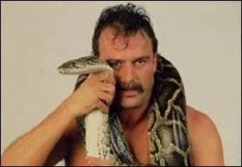 Lors de WrestleMania VII, Jake Roberts a battu Rick Martel dans un Blindfold Match. Quelle est la petite particularit de ce match ?