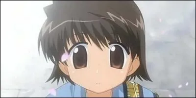 Ryushi Shiratori est un jeune homme qui s'installe à la pension Narutaki. Dans quel manga le voit-on ?