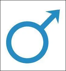 Quels sont les gamtes mles ?