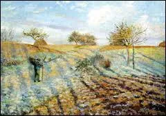 Quel peintre, le seul  avoir particip aux 8 expos impressionnistes est l'auteur de la toile 'Gele blanche' ?