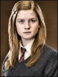 Qui Harry pouse-t-il  la fin de la saga ?