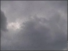 Quelle est cette couleur ?