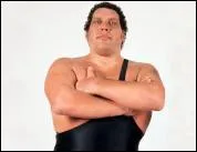 Andr The Giant dtient plusieurs records. Parmi ceux-ci, lequel ne lui revient pas ?