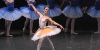Comment appelle-t-on le final d'un ballet au cours duquel les solistes défilent sur scène ?