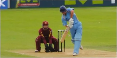 Les buts au jeu de cricket se nomment :