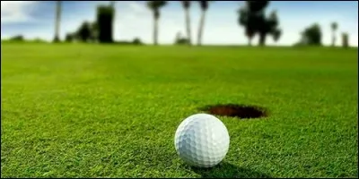 Comment s'appelle la surface de gazon qui entoure le trou au golf ?