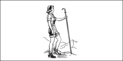 Qu'est-ce qu'un alpenstock ?