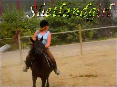 Comment s'appelle la soeur de Lisa ?