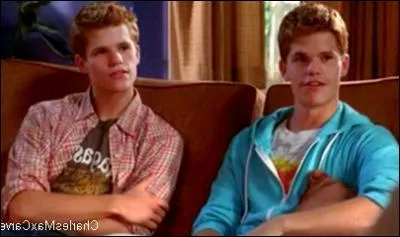 A qui sont ces jumeaux,