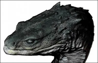 Quel monstre est capable de tuer de son regard ?