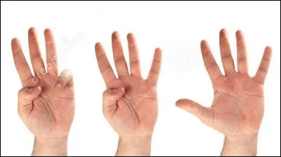 Dans le premier cycle, combien y a-t-il de tomes ?