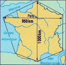 ''Être né sous l'signe de l'hexagone / C'est vraiment pas une sinécure / Et le roi des cons, sur son trône / Il est francais, ça j'en suis sûr''