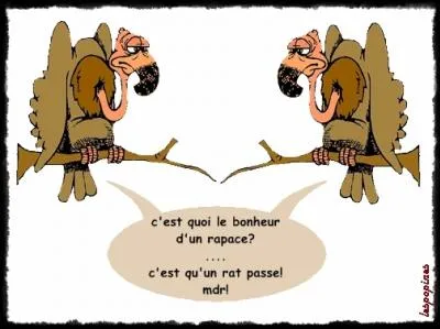 Quel oiseau n'est pas un rapace ?