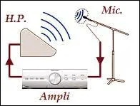 Quelle est l'origine du mot 'larsen' ?