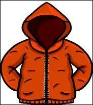 Quelle est l'origine du mot 'anorak' ?