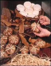 Avec le lait de quel animal fabrique-t-on ce fameux fromage provenal prsent enroul de feuilles de chatagnier , et appel Banon ?