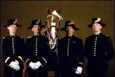 Quelle Ecole a pour uniforme une tenue noir et or, et en gala, un bicorne appel lampion ?